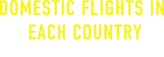 DOMESTIC FLIGHTS IN  EACH COUNTRY 各国国内線