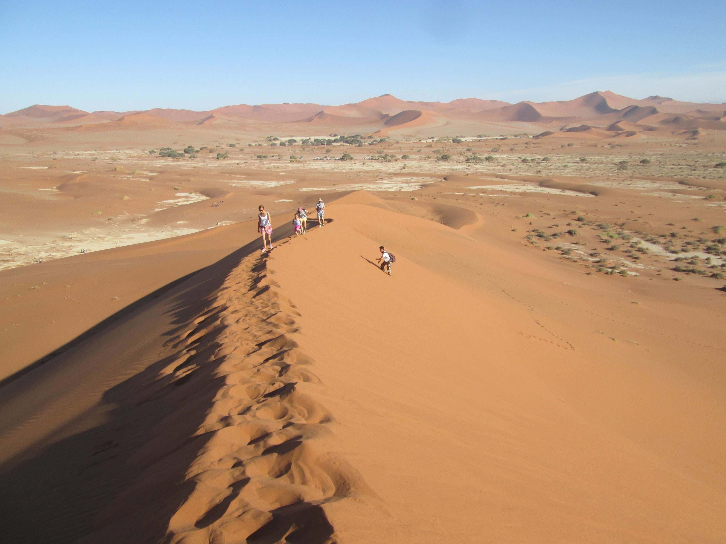 世界最古の砂漠 ナミブ砂漠を訪ねる His世界一周旅行デスク