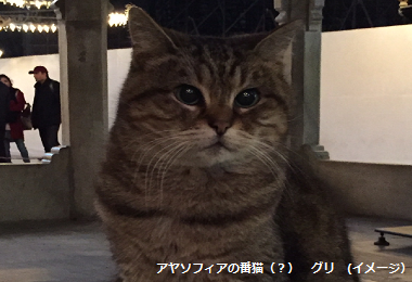 ギャラリー